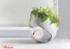 Trồng hoa trong nhà - Góc giải trí sau giờ làm việc