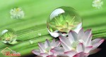 Dù giàu sang hay chỉ manh áo rách cũng nên đọc điều này để sống cho trọn kiếp người