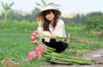 Về thăm nơi xuất xứ nón bài thơ xứ Huế