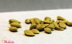 Bị rắn cắn đừng vội hoảng loạn, hạt chanh sẽ cứu bạn thoát khỏi TỬ THẦN trong vòng 1 phút