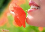 Họa tùng khẩu xuất