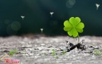 KHI MẤT NIỀM TIN VÀO BẢN THÂN, HÃY NHỚ 16 CÂU NÓI SAU ĐÂY