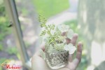 Bạn có biết như thế nào là hạnh phúc?