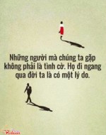Trên đời này, vạn sự luôn là tùy duyên