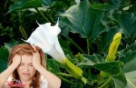 Đi tàu xe về quê ăn Tết cần đặc biệt cẩn trọng với “Hơi thở của quỷ”