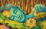 Phật dạy: "Nếu muốn trường thọ, hãy cứu mạng chúng sinh và thực hành bố thí"