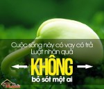 Nhân quả không mơ hồ, thiện ác tất có báo