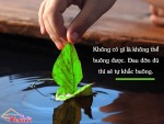 Học cách buông bỏ để có được một cuộc đời hạnh phúc, bình yên