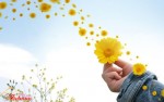 Người làm bạn tổn thương là người đem phước lành đến, đừng bận tâm hay oán hận