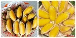 AA1hMdcQ
