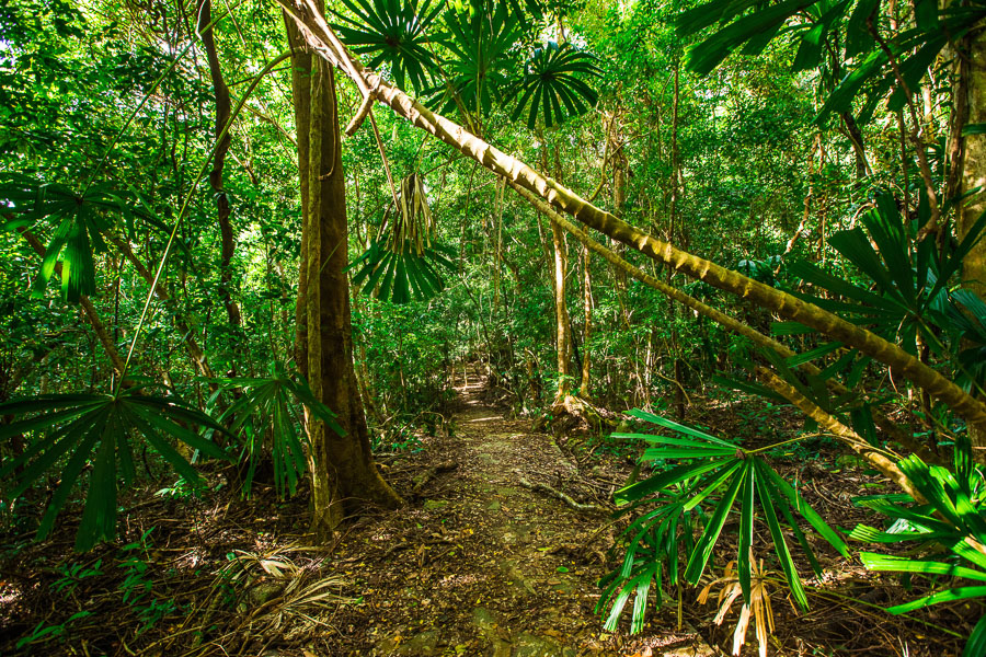 Con Dao Vietnam Travel 10