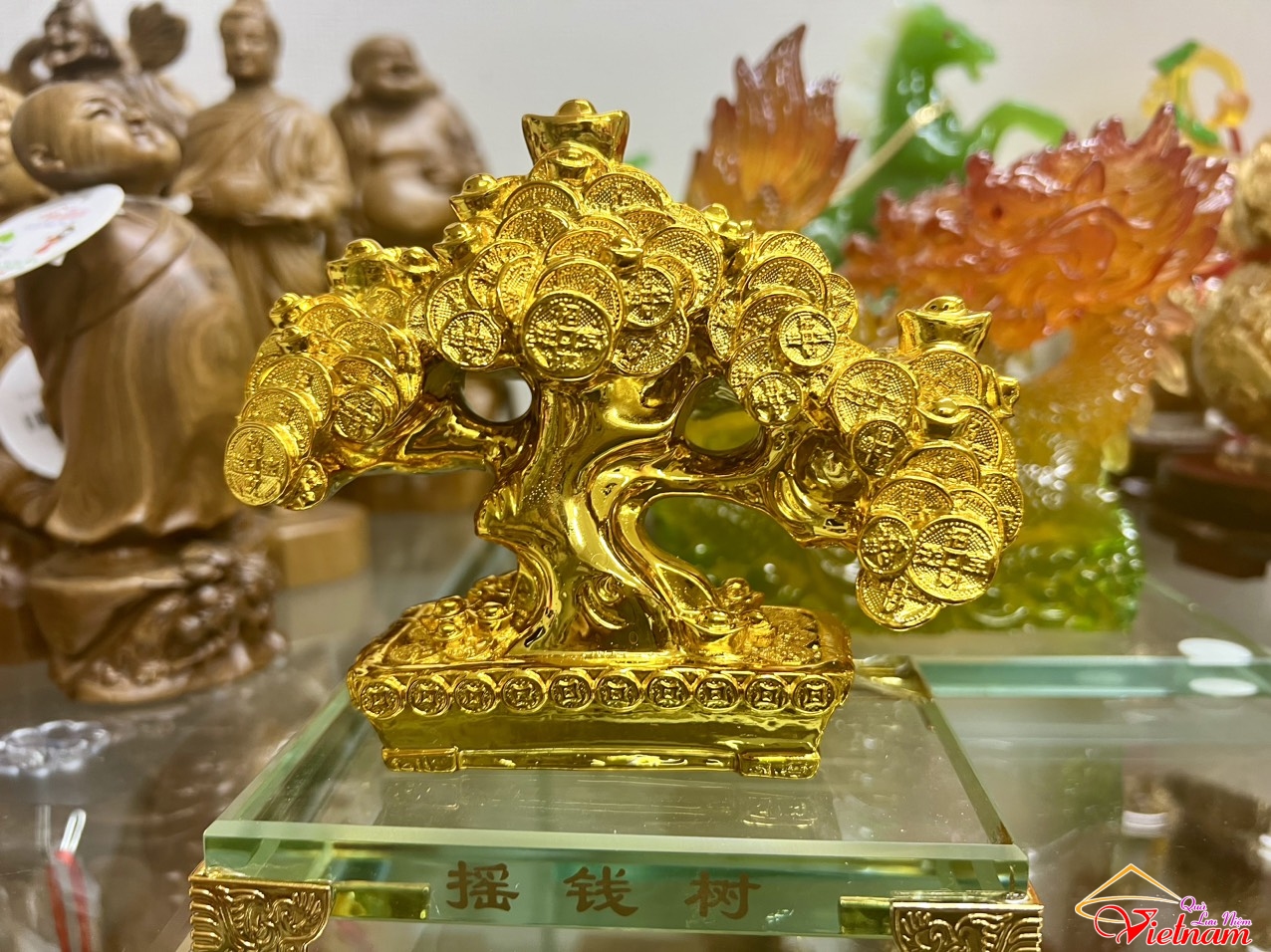 CÂY TIỀN VÀNG VUÔNG