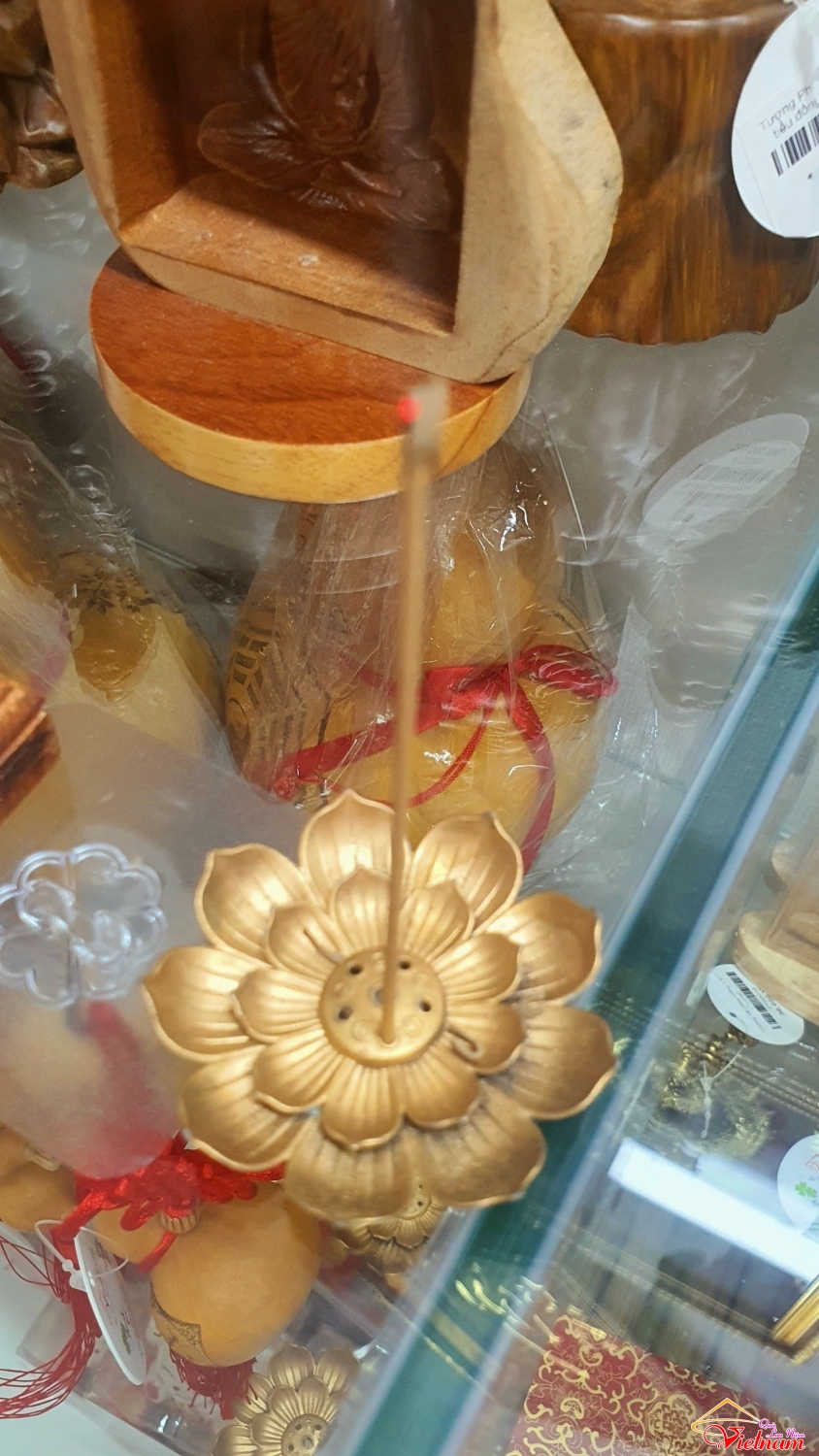 dai sen cam nhang tram (1)
