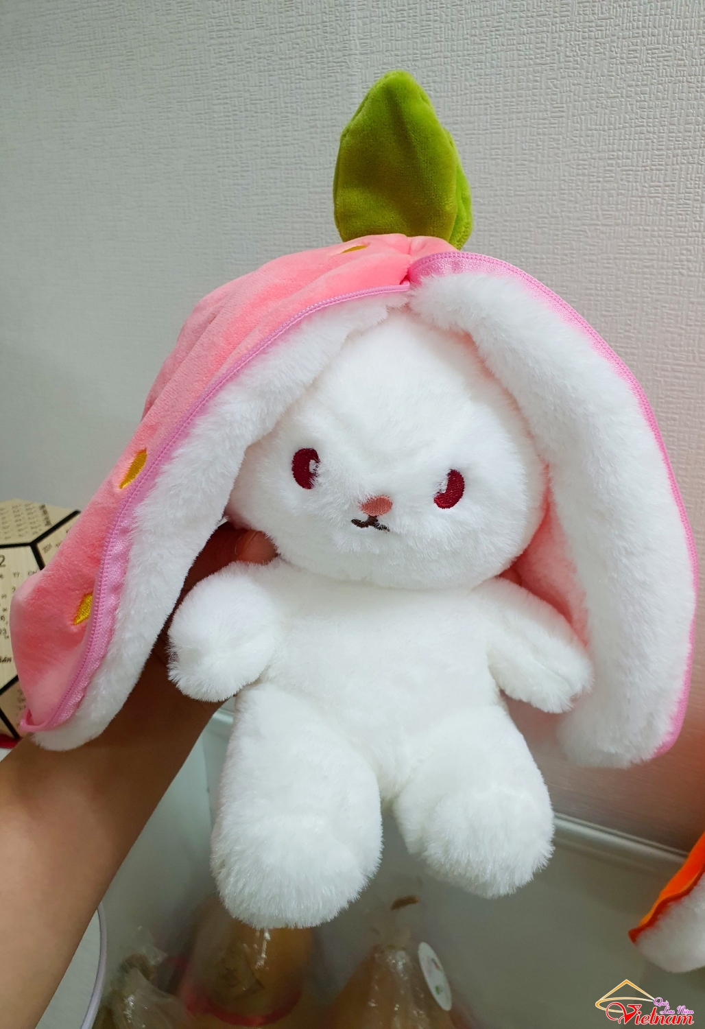 qua tang tho nhoi bong (3)