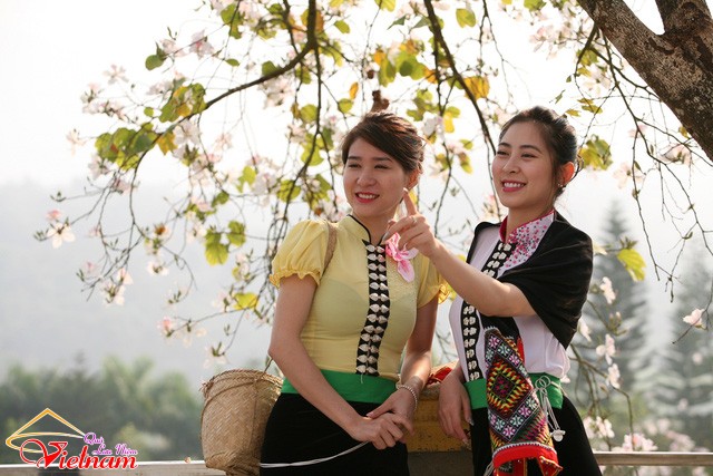 qua luu niem viet nam (6)