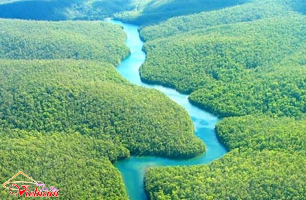 Tại sao các con sông đều uốn khúc? Và câu trả lời thấu tình của vị thiền sư tai sao cac dong song uon khuc 2