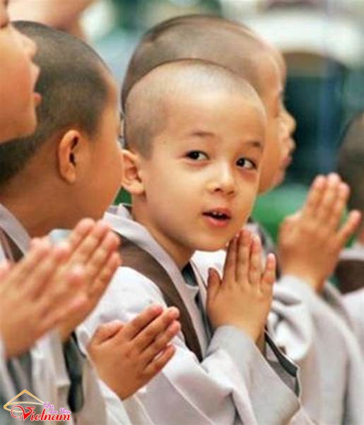 tinh khi 2
