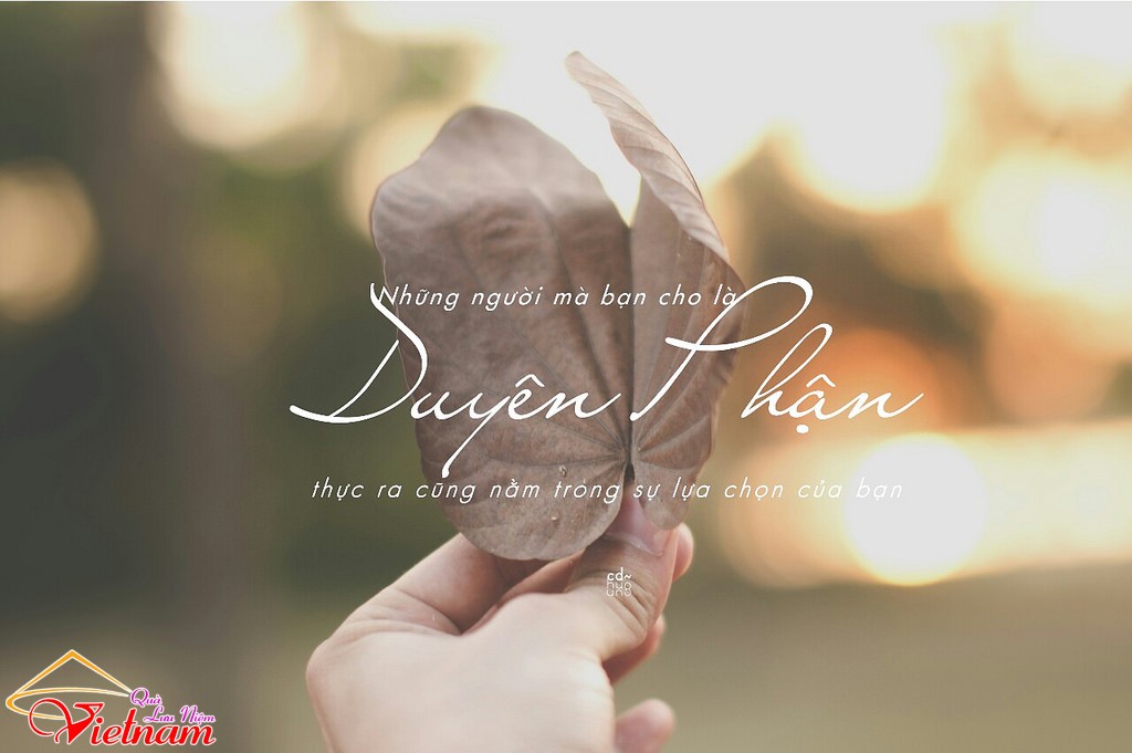 duyen mghm