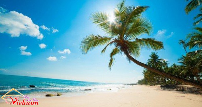 1 phu quoc