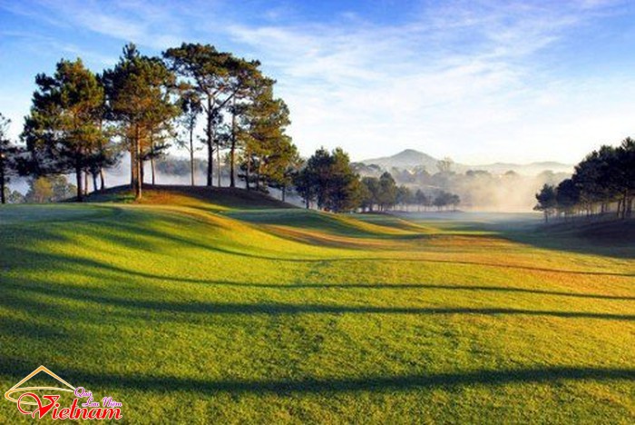 3 da lat