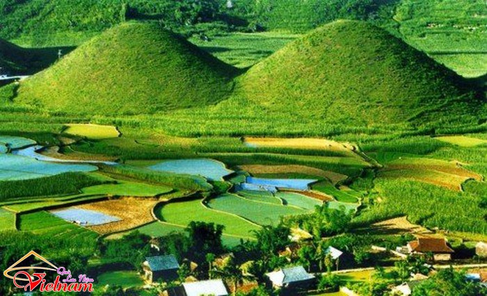 7 ha giang