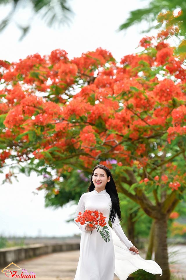 ao dai 10