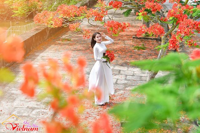 ao dai 12