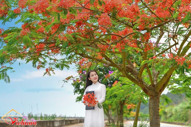 ao dai 13