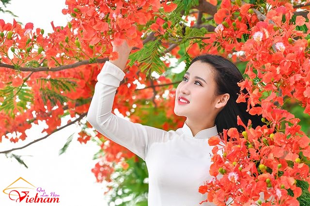 ao dai 14