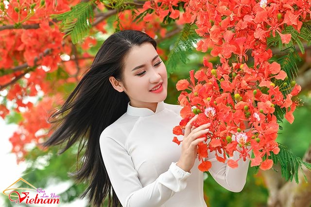 ao dai 15