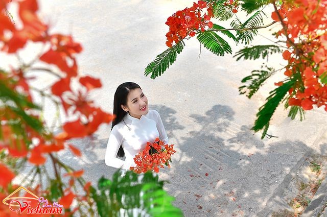 ao dai 19