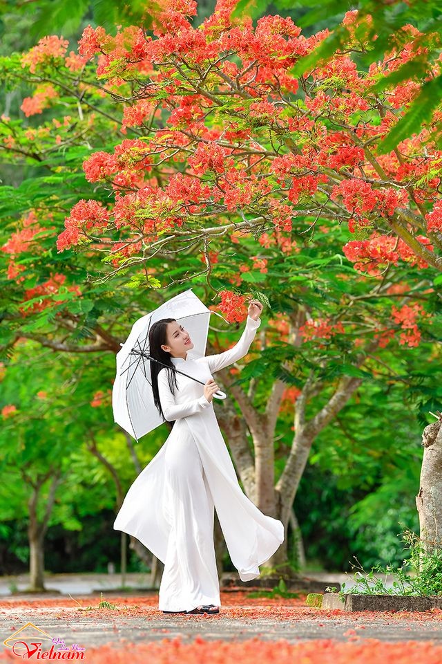 ao dai 2