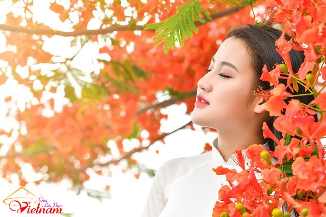 ao dai 20