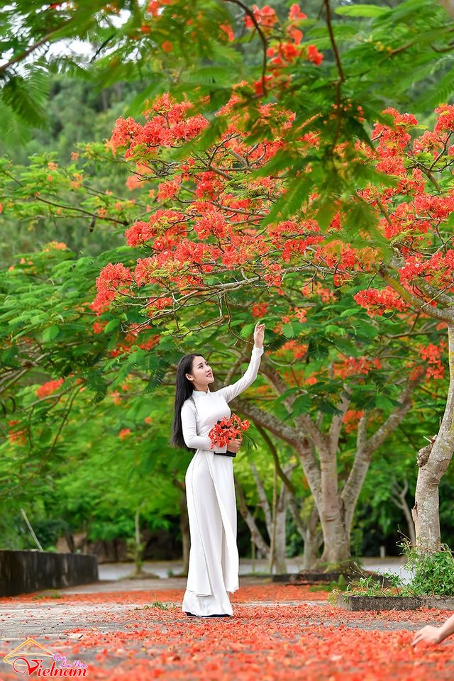 ao dai 3