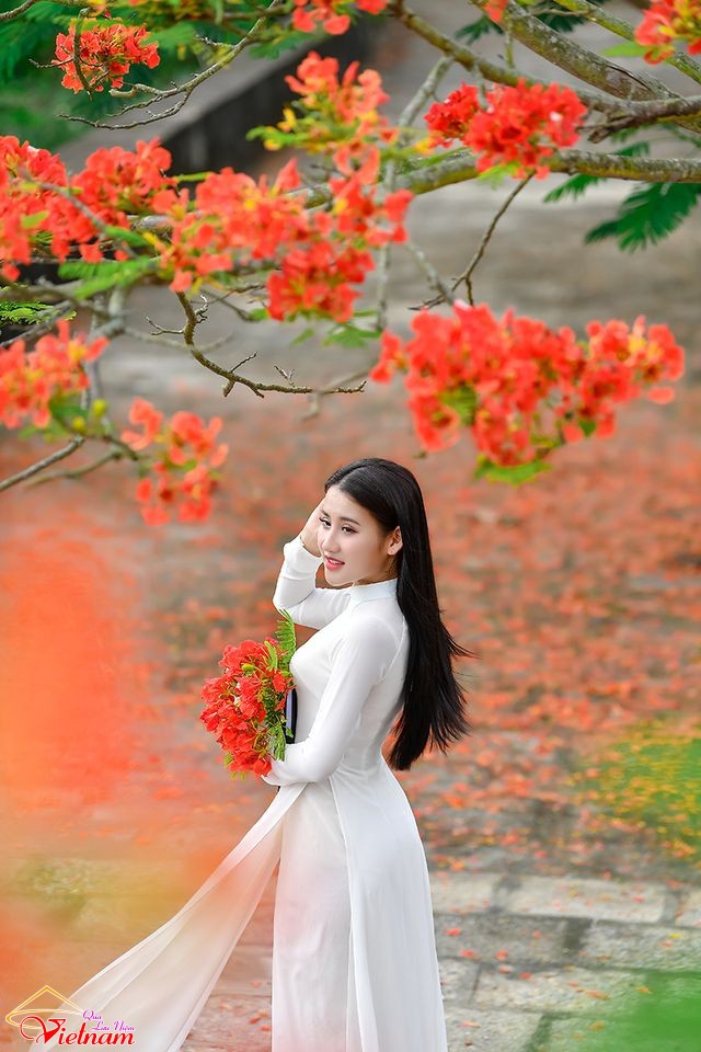 ao dai 6