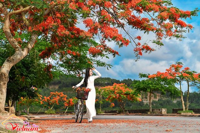 ao dai 8