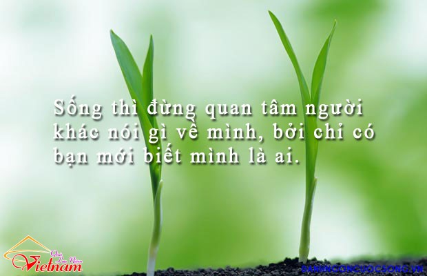 cac cau noi hay trong cuoc song 3