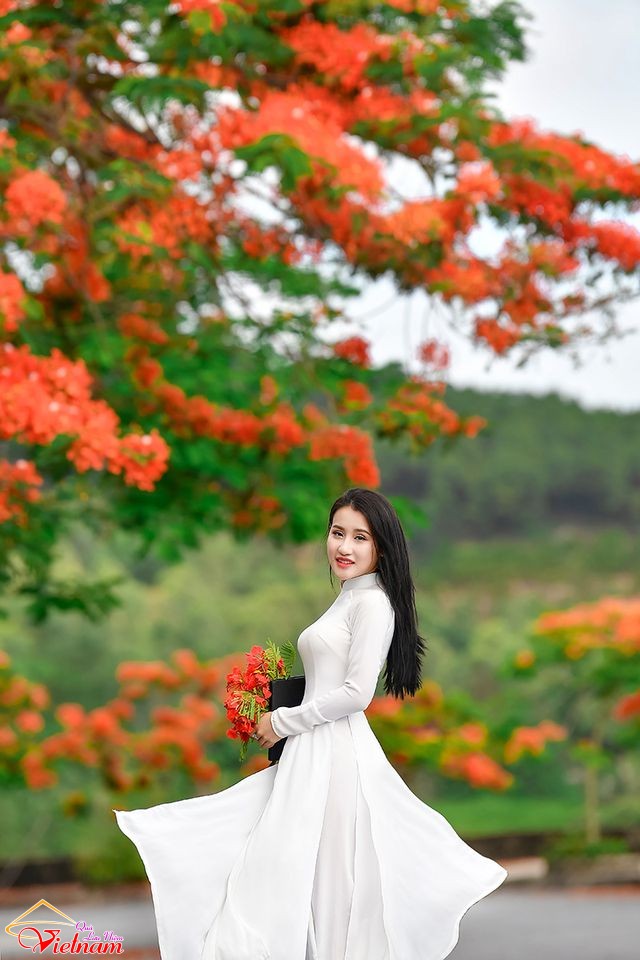 o dai 11
