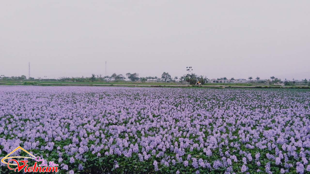 tui luc binh 4