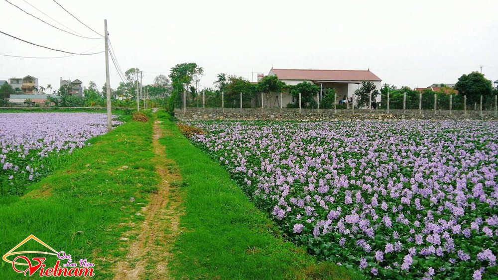 tui luc binh 5