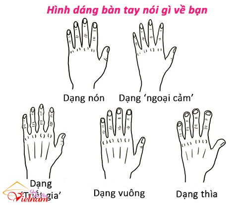 Nhìn dáng bàn tay đoán ngay phụ nữ số mệnh giàu sang hay cả đời khổ vì chồng con - Ảnh 3 ban tay phu nu 3