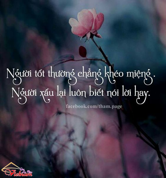 loi hay y dep ve cuoc song 1