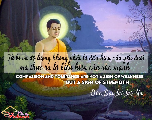 loi phat day 2