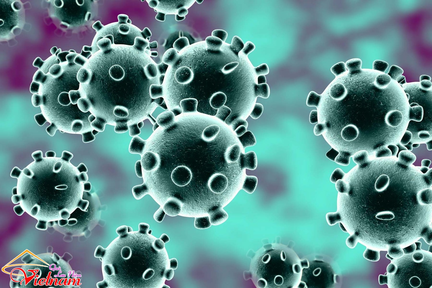 phong ngua corona virus
