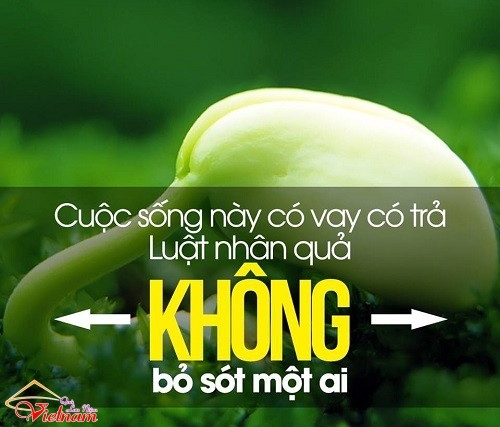 nhan qua 2