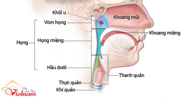 K tai mui hong